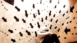 Galerie foto - Poza #2