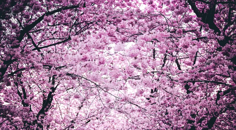 Horoscop joi, 18 martie. Se anunță o zi plină aventuri!