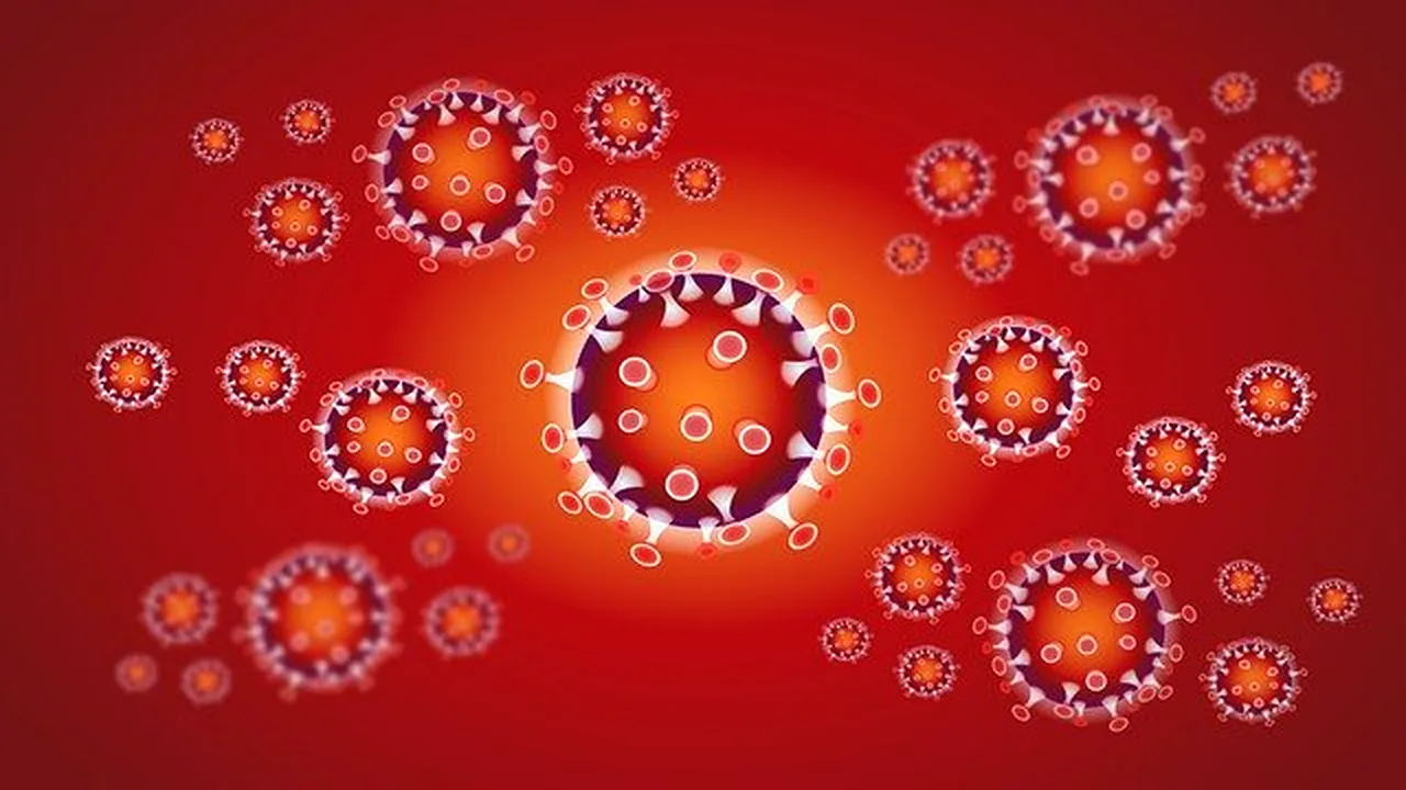 coronavirus7 