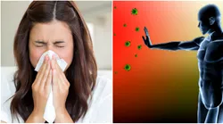 Galerie foto - Poza #4