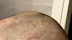 Galerie foto - Poza #2