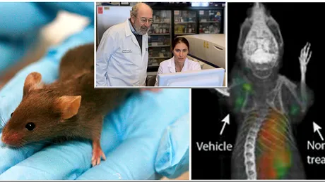 Vesti bune! Vaccinul care trateaza cancerul a fost descoperit de cercetatori. Cum functioneaza si cand va fi disponibil