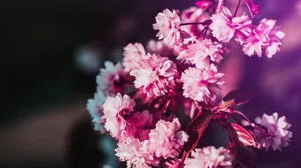 Horoscop 15 martie 2019: Ce zodii au astazi probleme de natura sentimentala!