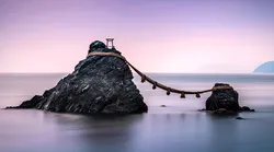 Galerie foto - Poza #4