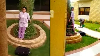 Menajera legata de copac de patronul nervos. E ireal de ce o acuza pe femeie ca facuse