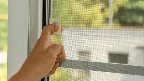Cum îți protejezi casa de insecte. Truc simplu pentru plasele de la geamuri