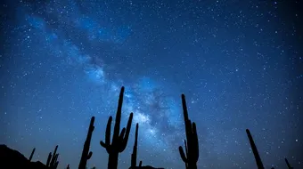 Horoscop 1 septembrie 2018: Gemenii au probleme cu banii!