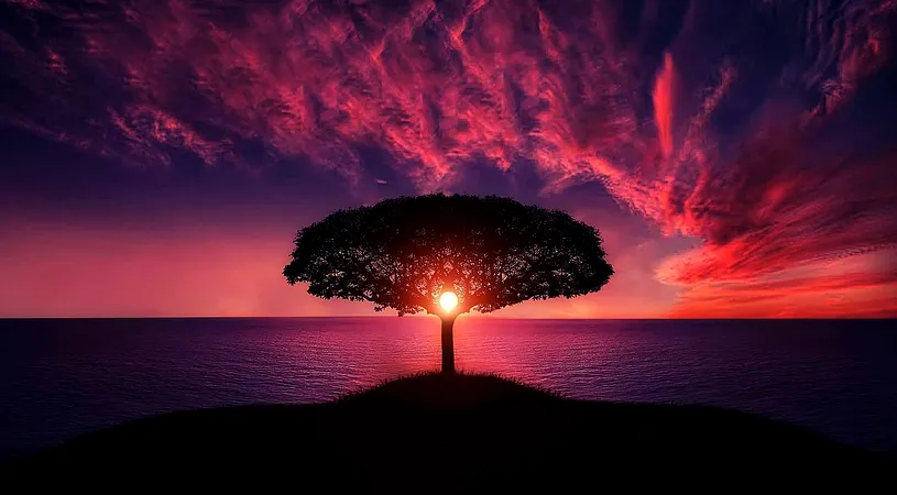 Horoscop 7 septembrie 2018: Racii isi ajuta apropiatii cu o suma de bani!