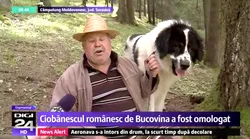 Galerie foto - Poza #4