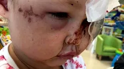 Galerie foto - Poza #4