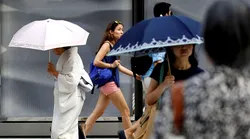 Galerie foto - Poza #4