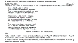 Galerie foto - Poza #4
