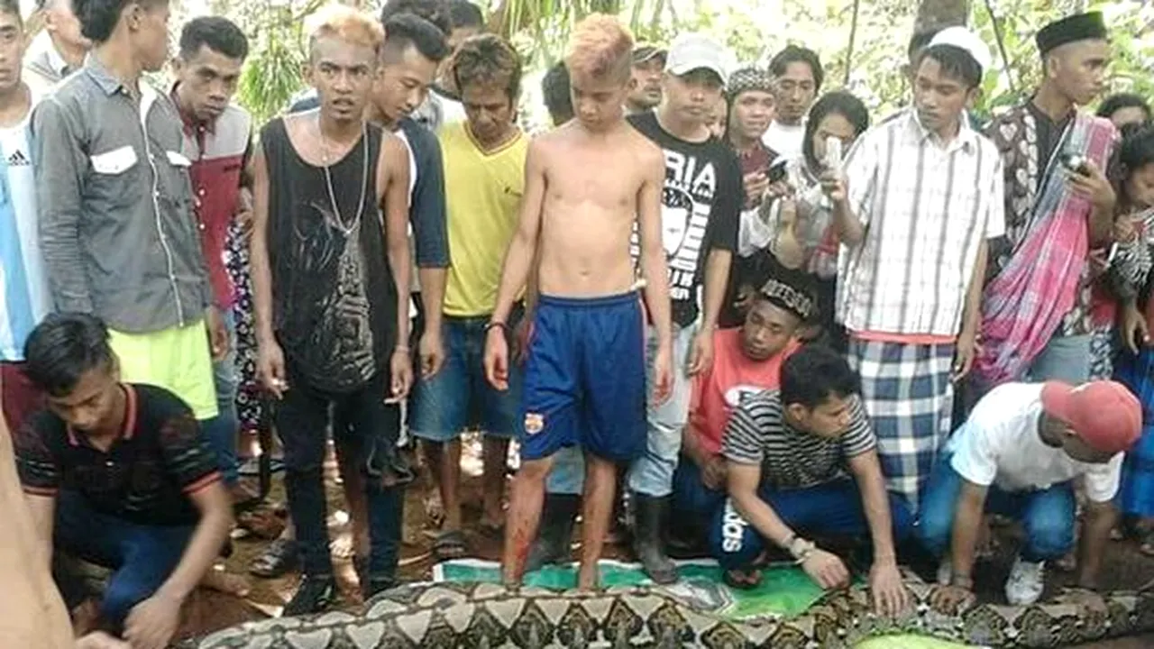 O femeie a fost mancata de un piton de 8,2 metri. Imagini socante cu trupul (5) 