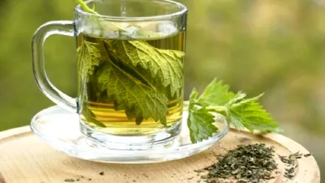 Secretele urzicii, supranumita si ''Focul vindecator''! Planta lupta impotriva multor afectiuni