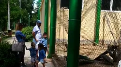 Galerie foto - Poza #4