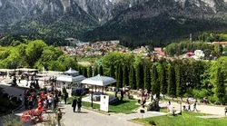 Galerie foto - Poza #4