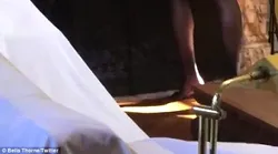 Galerie foto - Poza #1