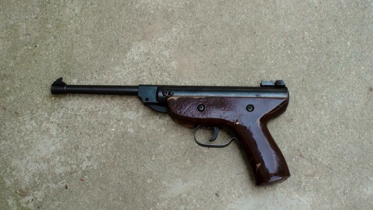 Caz halucinant in Timis. Un barbat s-a impuscat in cap cu un pistol vechi de aproape 80 de ani 