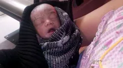 Galerie foto - Poza #4