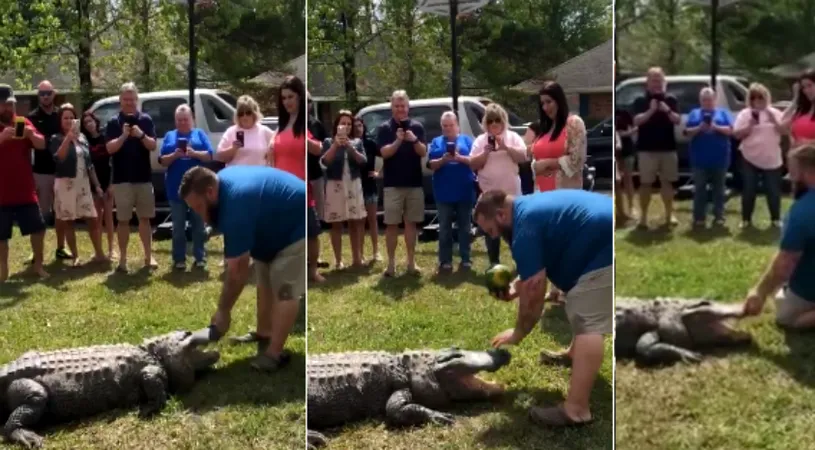 Barbatul a adus un aligator la petrecere si a inceput sa se lupte cu fiara salbatica! Invitatii nici n-au banuit ce avea sa urmeze VIDEO
