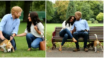 Printul Harry si Meghan Markle au iesit la o plimbare prin parc, alaturi de catelul lor! Ceva e foarte tulburator la ei. Detaliul care i-a socat pe fani VIDEO