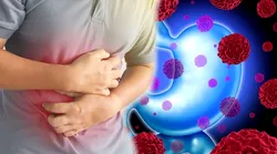 Galerie foto - Poza #2