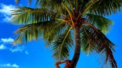 Galerie foto - Poza #4