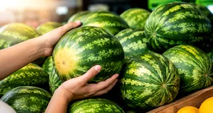 Cum alegi pepenele bine copt. Semnele care îți arată că este dulce și zemos