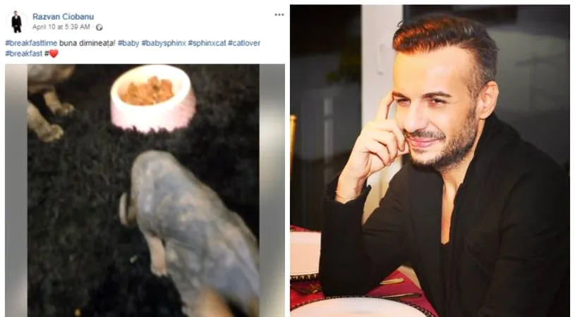 Razvan Ciobanu si-a lasat animalele in urma! Creatorul de moda crestea pisici pentru un ban in plus