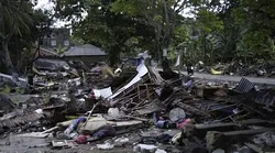 Galerie foto - Poza #4