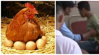 Cazul bizar al adolescentului de 14 ani care ”depune” oua ca o pasare! Medicii s-au socat cand au vazut baiatul: pe unde le scoate VIDEO