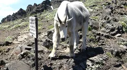 Galerie foto - Poza #4