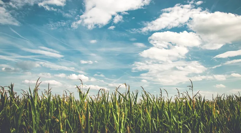 Horoscop 2 iulie 2019: Balantele isi rezolva toate problemele financiare!