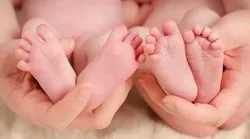 Galerie foto - Poza #2