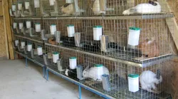 Galerie foto - Poza #4