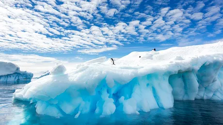 Descoperire socanta in Antarctica! Ce au gasit specialistii sub stratul urias de gheata VIDEO