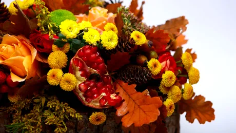 (P) Cum alegi ambalaje în funcție de sezon și de tipul florilor