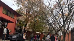 Galerie foto - Poza #4