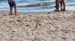 Galerie foto - Poza #4