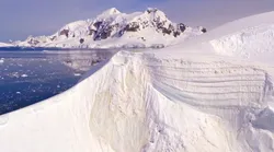 Galerie foto - Poza #4