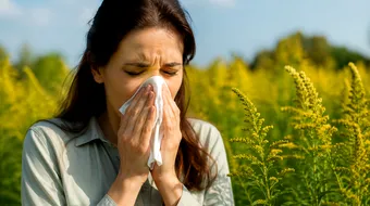 Remediu natural pentru alergia la ambrozie. Ce poți face acasă pentru a reduce simptomele