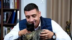 Galerie foto - Poza #1