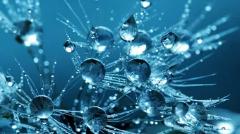 Horoscop 12 iulie 2019: Gemenii pot avea probleme de sanatate