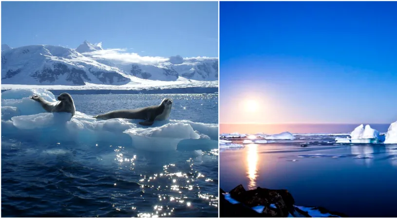 Ce se intampla atunci cand temperatura Oceanului Antarctic creste cu un singur grad Celsius?