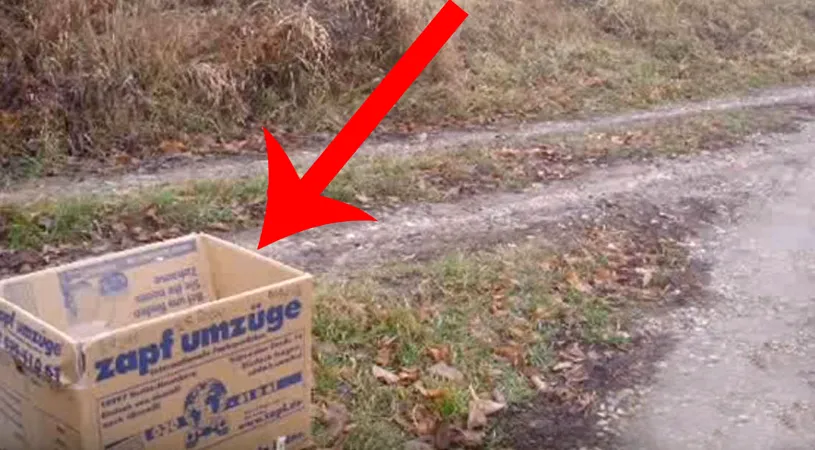 Emotionant :( Mergeau pe strada cand au vazut o cutie la marginea drumului. Au ramas socati cand s-au uitat in ea