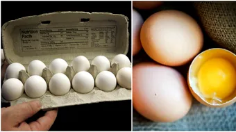 Oua cu medicamente impotriva cancerului! Pot combate cateva forme ale maladiei! E un experiment WOW!