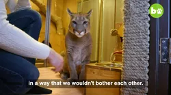 Galerie foto - Poza #4