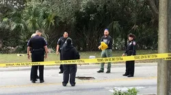 Galerie foto - Poza #4