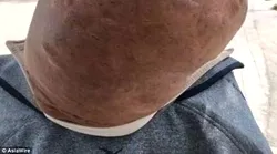 Galerie foto - Poza #1