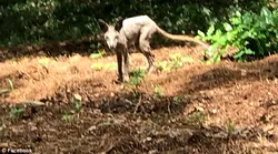 Galerie foto - Poza #4